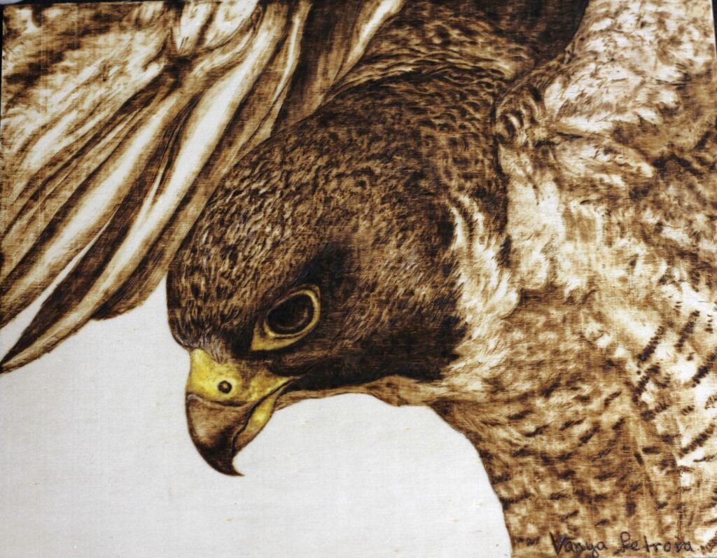 img 7416